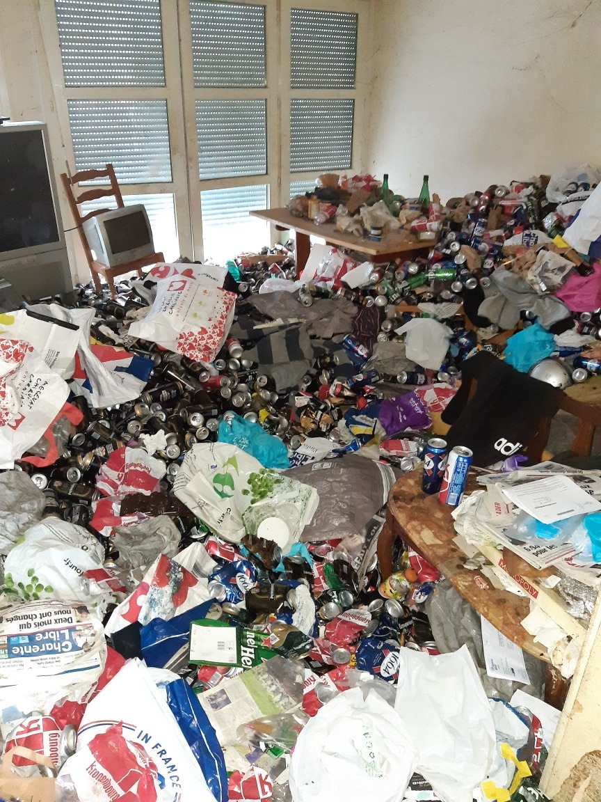 Entreprise nuisibles à Angoulême